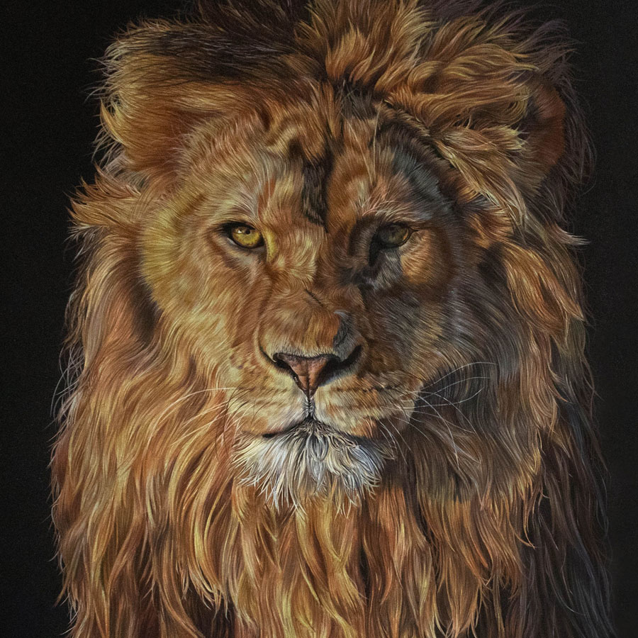 Original Artwork of an African Lion called 'The Regal King', by Jess Pritchard