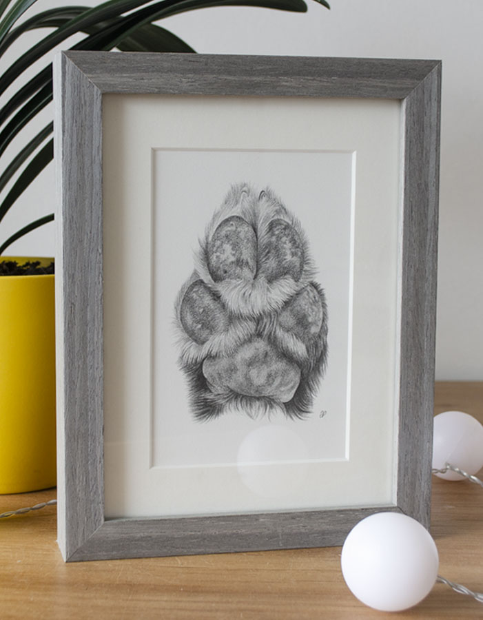 Pawtrait thumbnail 3