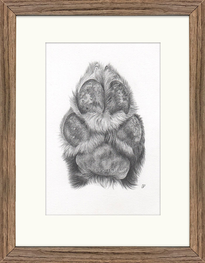 Pawtrait thumbnail 3