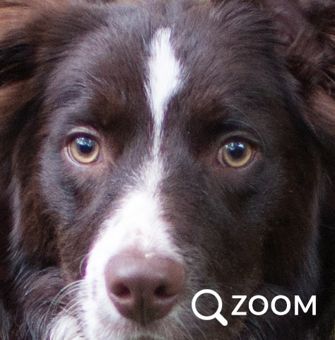 Perfect photo, zoomed to 100%