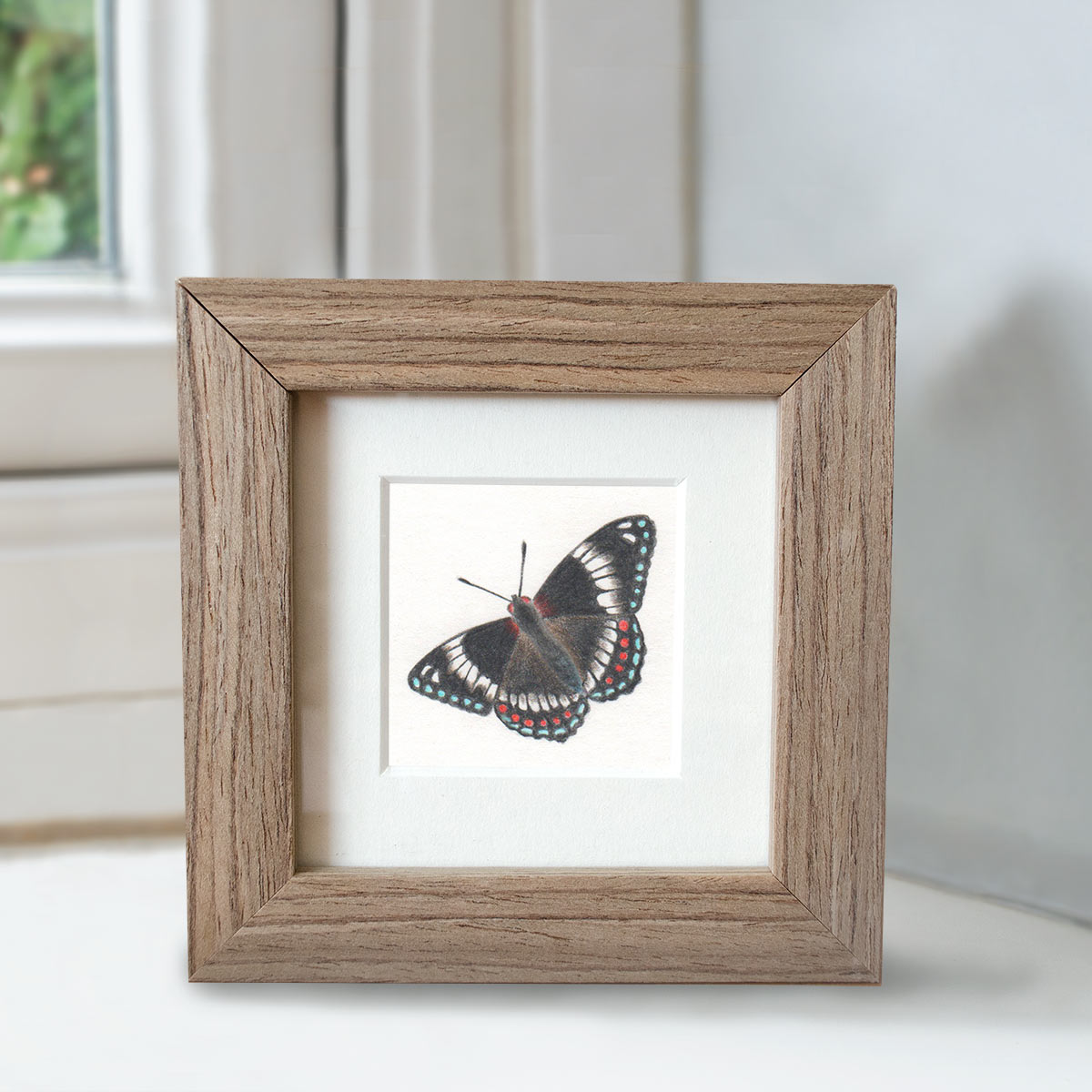 Minature collection - White Admiral